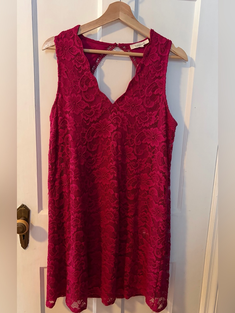 Francesca’s Fuchsia Lace Sleeveless Dress